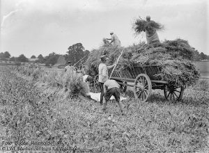 Landwirtschaft im Sauerland – Zwischen Tradition und Wandel