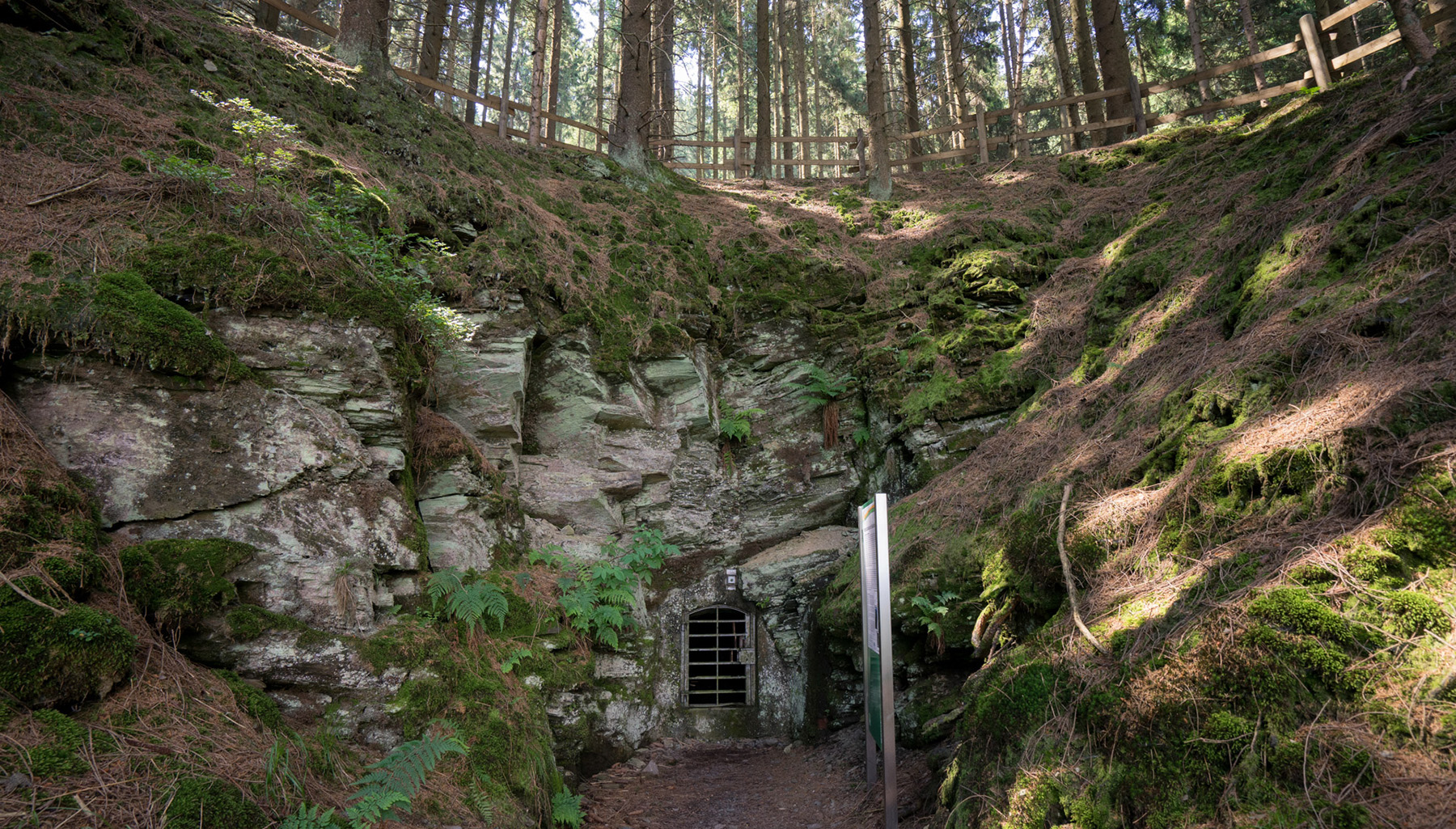 Die Zwerge im Bastenberg