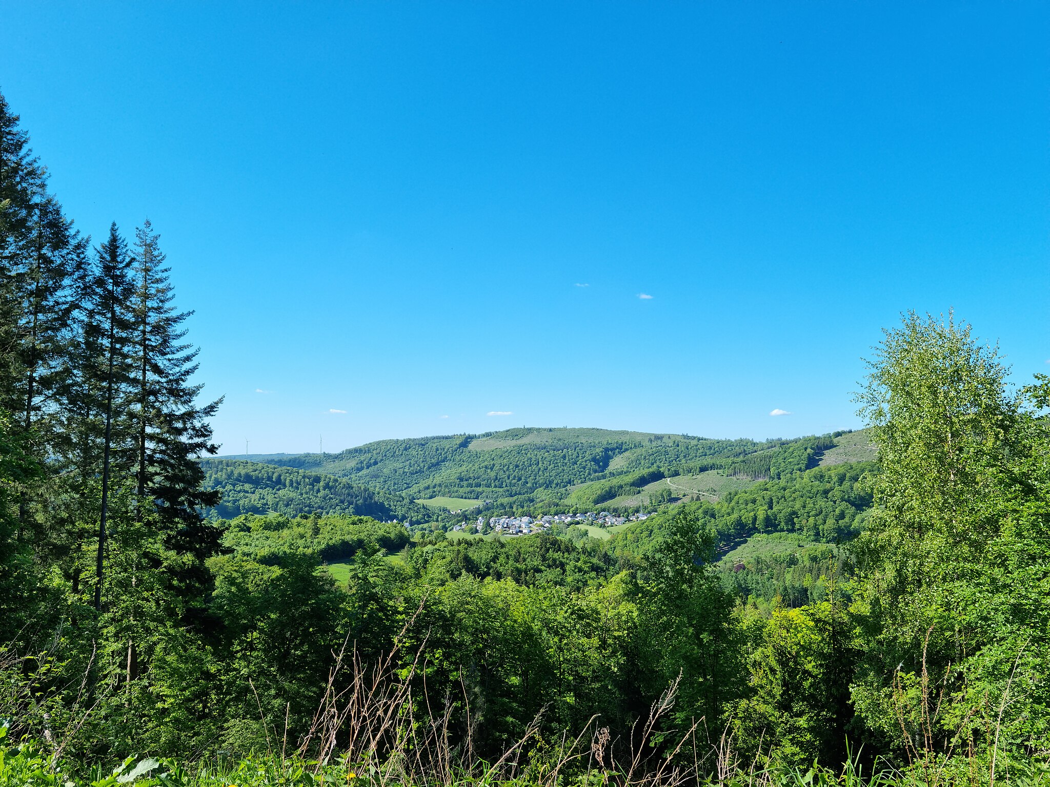 Rothaarsteig / Eisenstraße