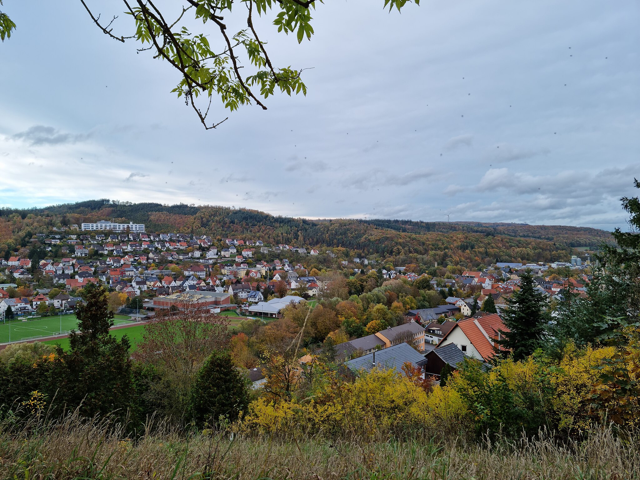 Marsbergs Geschichte