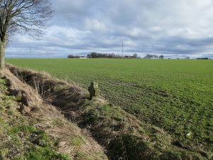 Haarweg / Bördeweg