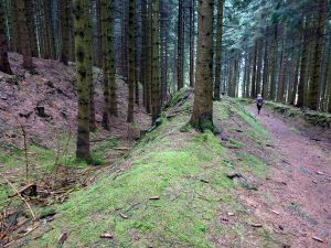 Der Plackweg