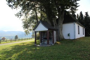 Das Sauerland in prähistorischer Zeit