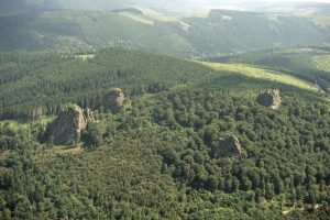 Die Bruchhauser Steine