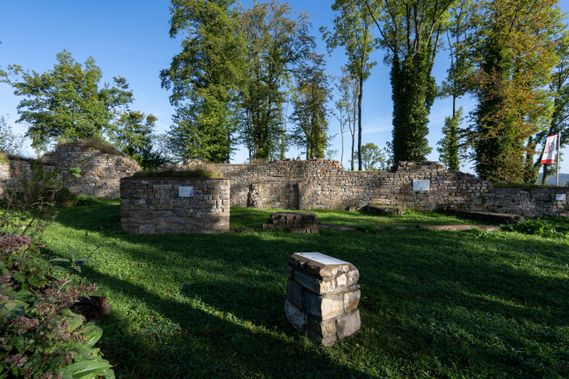 Burg und Schloss in Alt-Arnsberg