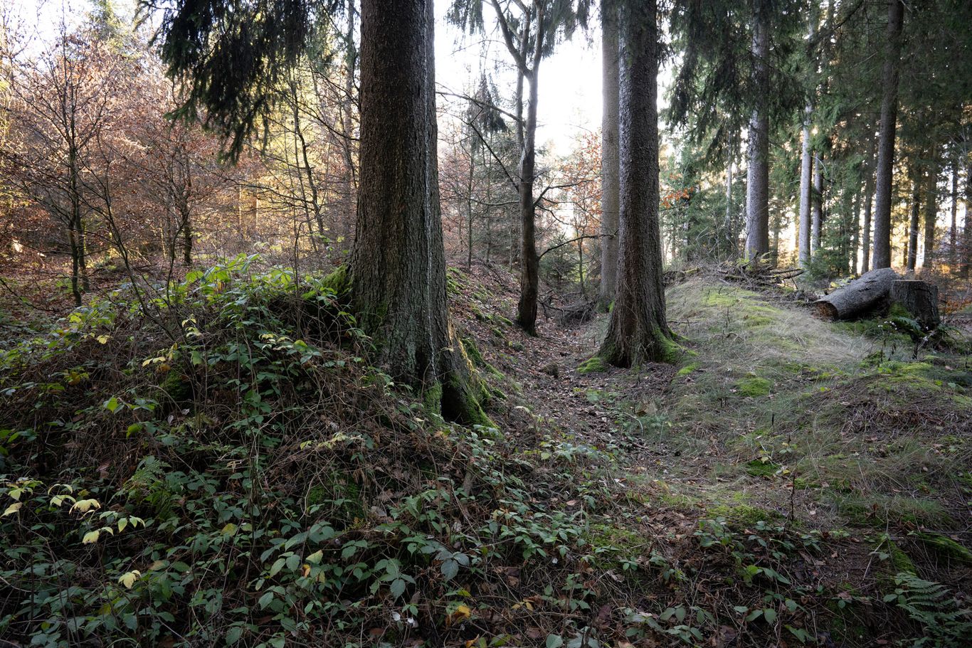Landwehrschanze bei Schanze
