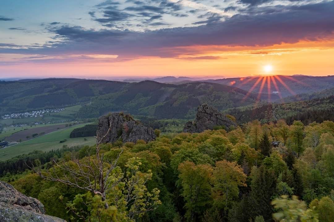 Die Bruchhauser Steine