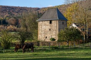 Der Wehrturm in Enste
