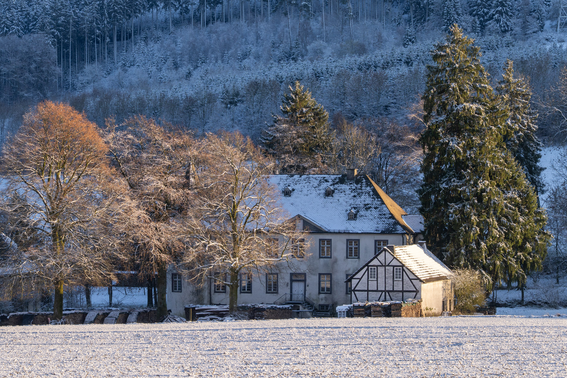 Die Tochter des französischen Offiziers