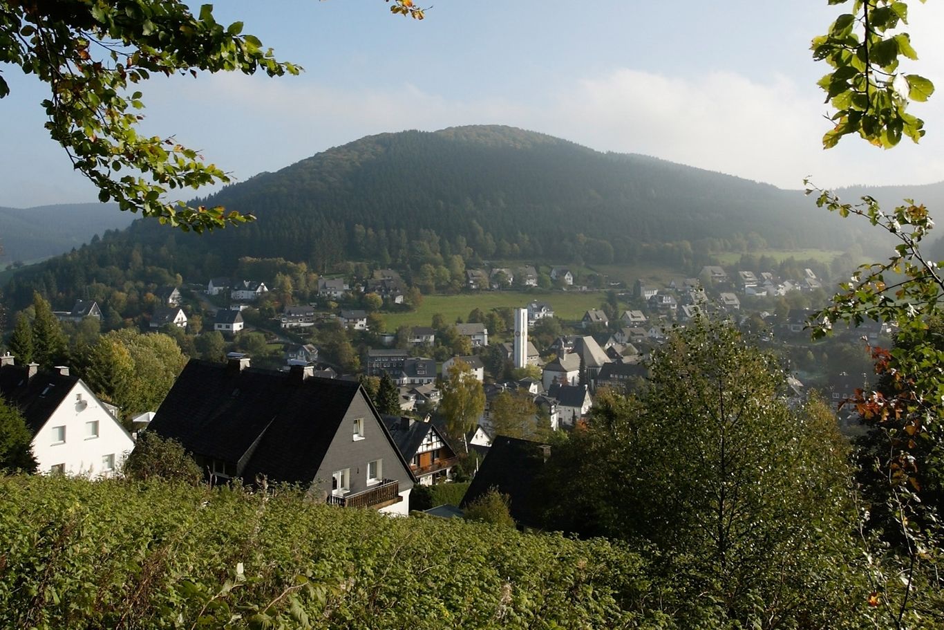 Die Silberadern von Silbach