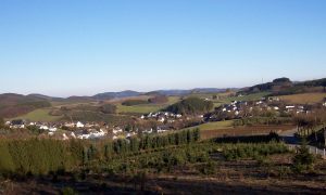 Wer rodete den Wald von Cobbenrode?