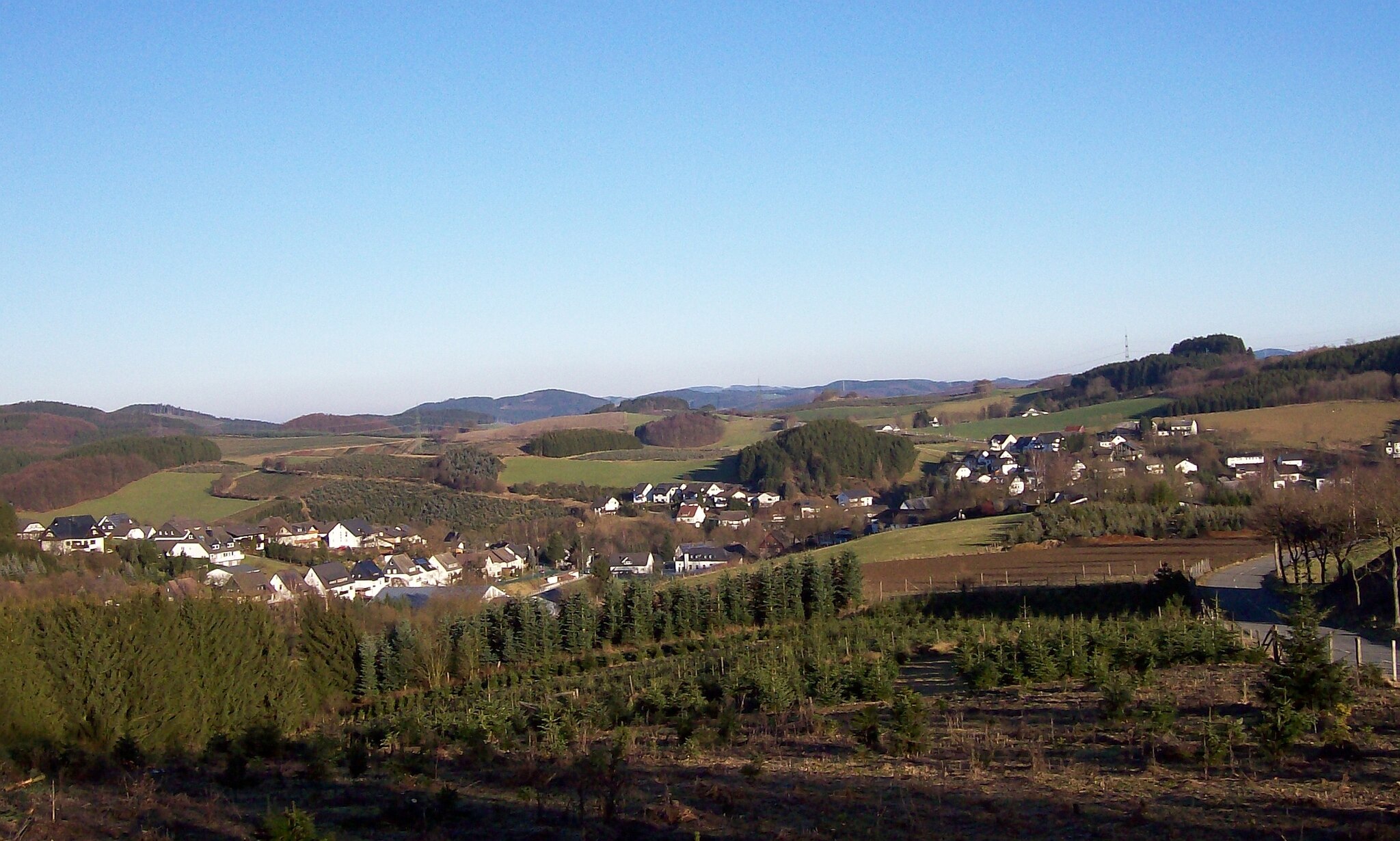 Wer rodete den Wald von Cobbenrode?