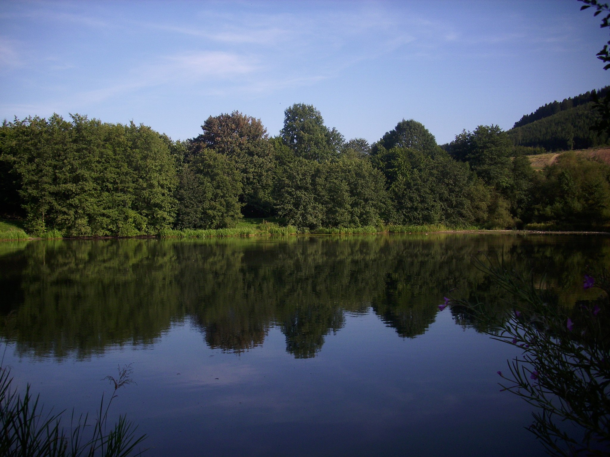 Spuren des Bönkhauser Bergbaus