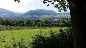 Die Olsberger Familienstämme