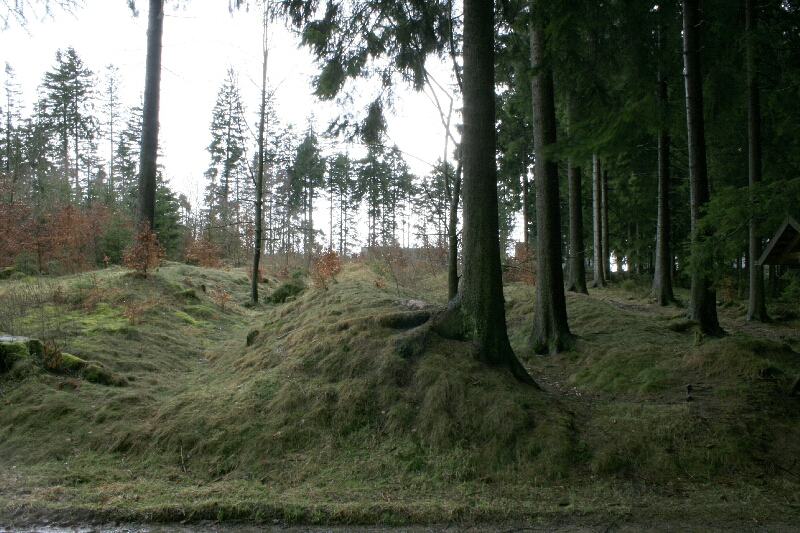Landwehren und Schwedenschanzen