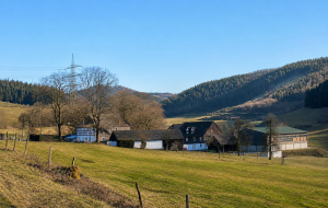 Wein vom Rhein über Drasenbeck nach Meschede