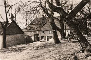 Die Geschichte von Saal