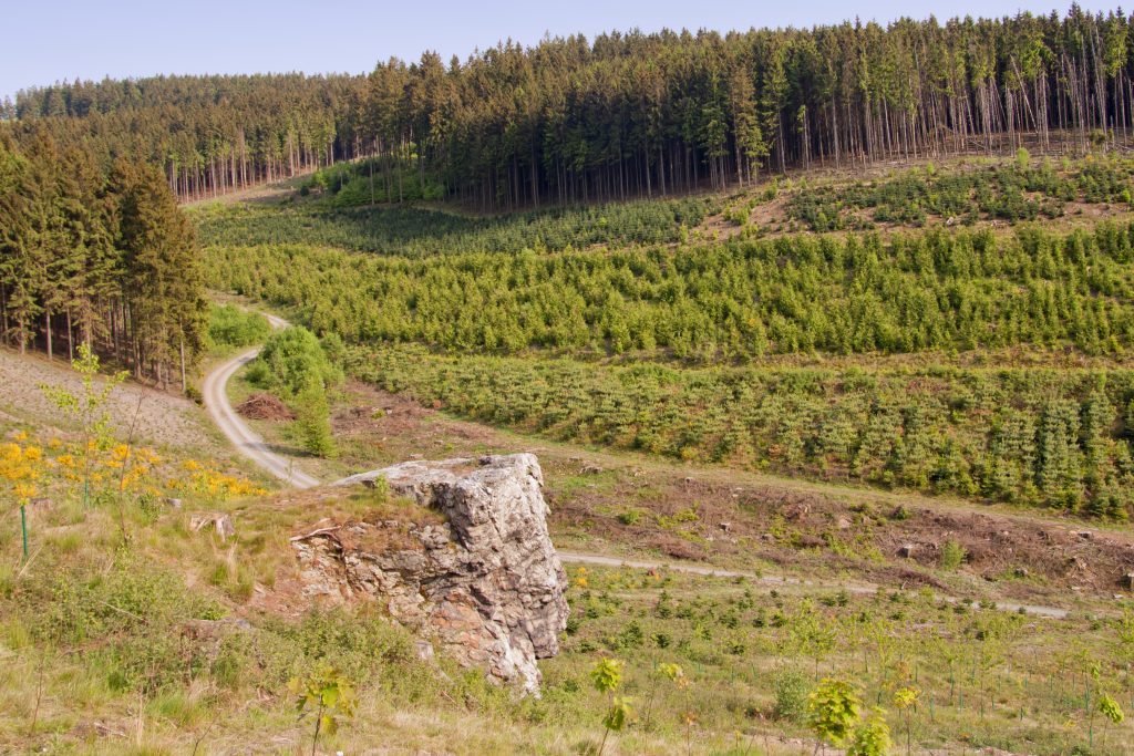 Das Naturdenkmal Ossenstein in der Freiheit Hagen