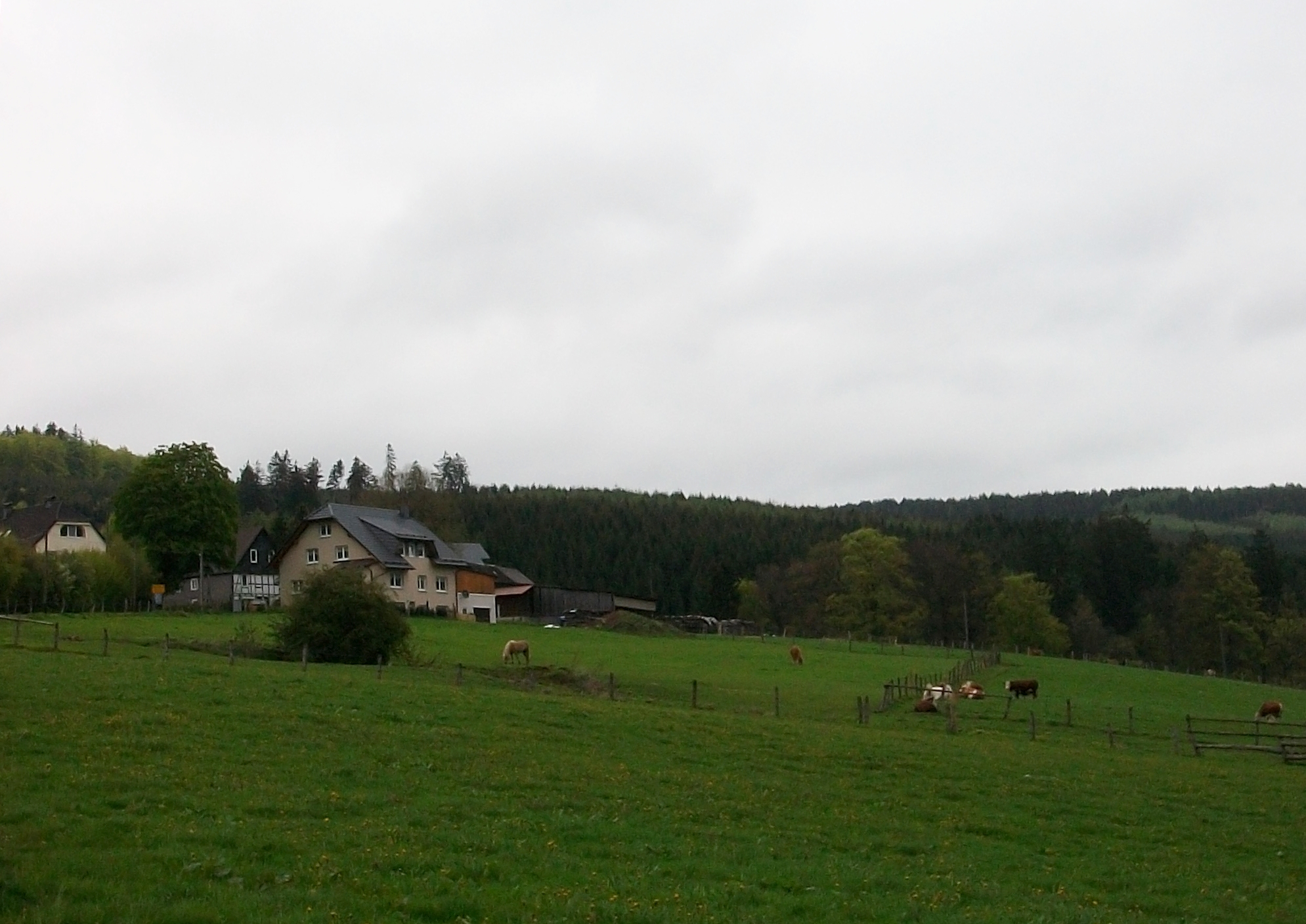 Ein Junge namens Raban und die Geschichte von Grimlinghausen